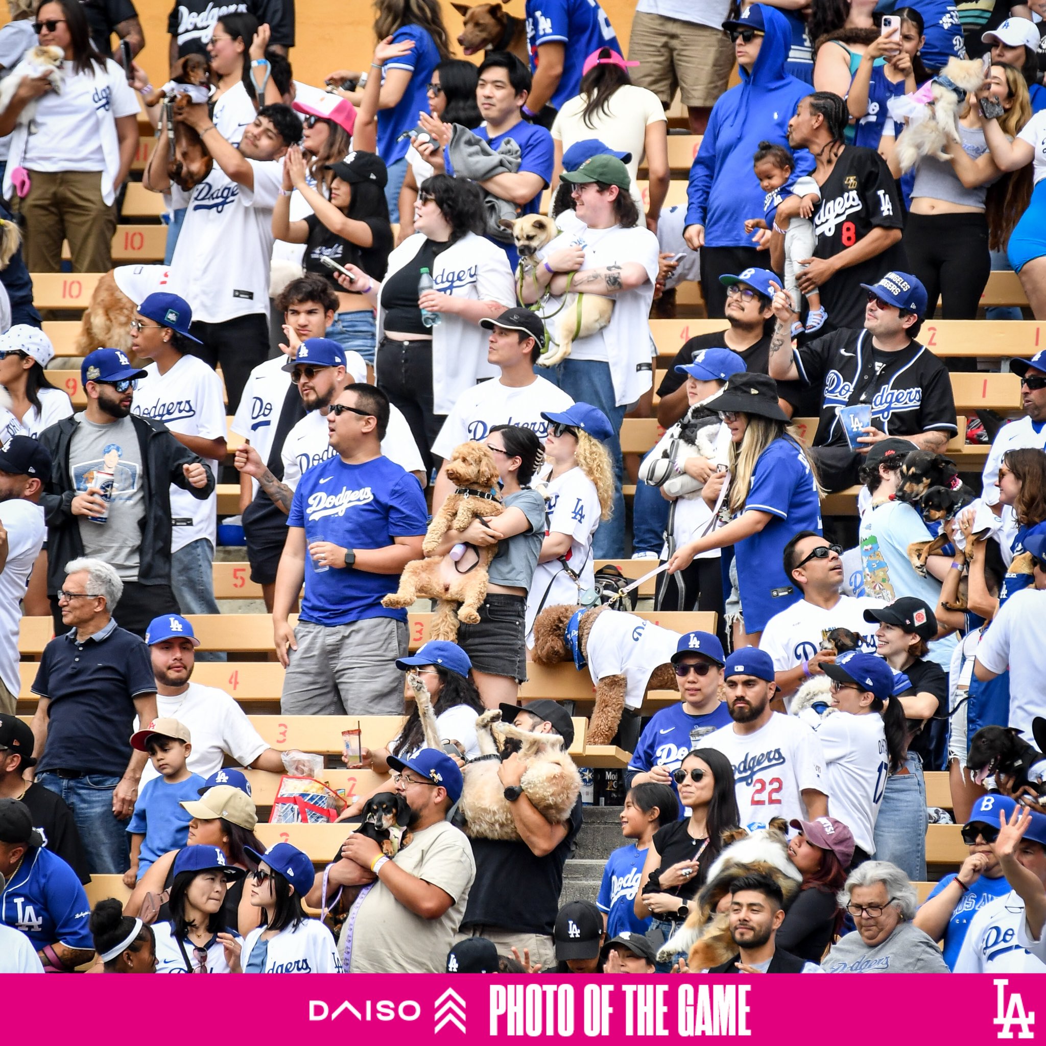 Fan Engagement at Dodger Stadium A Success with "Pups at the Park